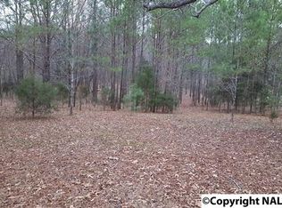 129 Petty St, New Market, AL 35761