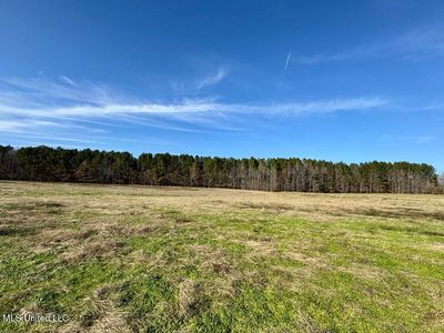 2 Johnson Line Rd, Bolton, MS, 39041