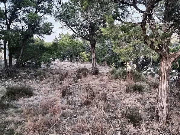 21505 Stampede Trl, Leander, TX 78645