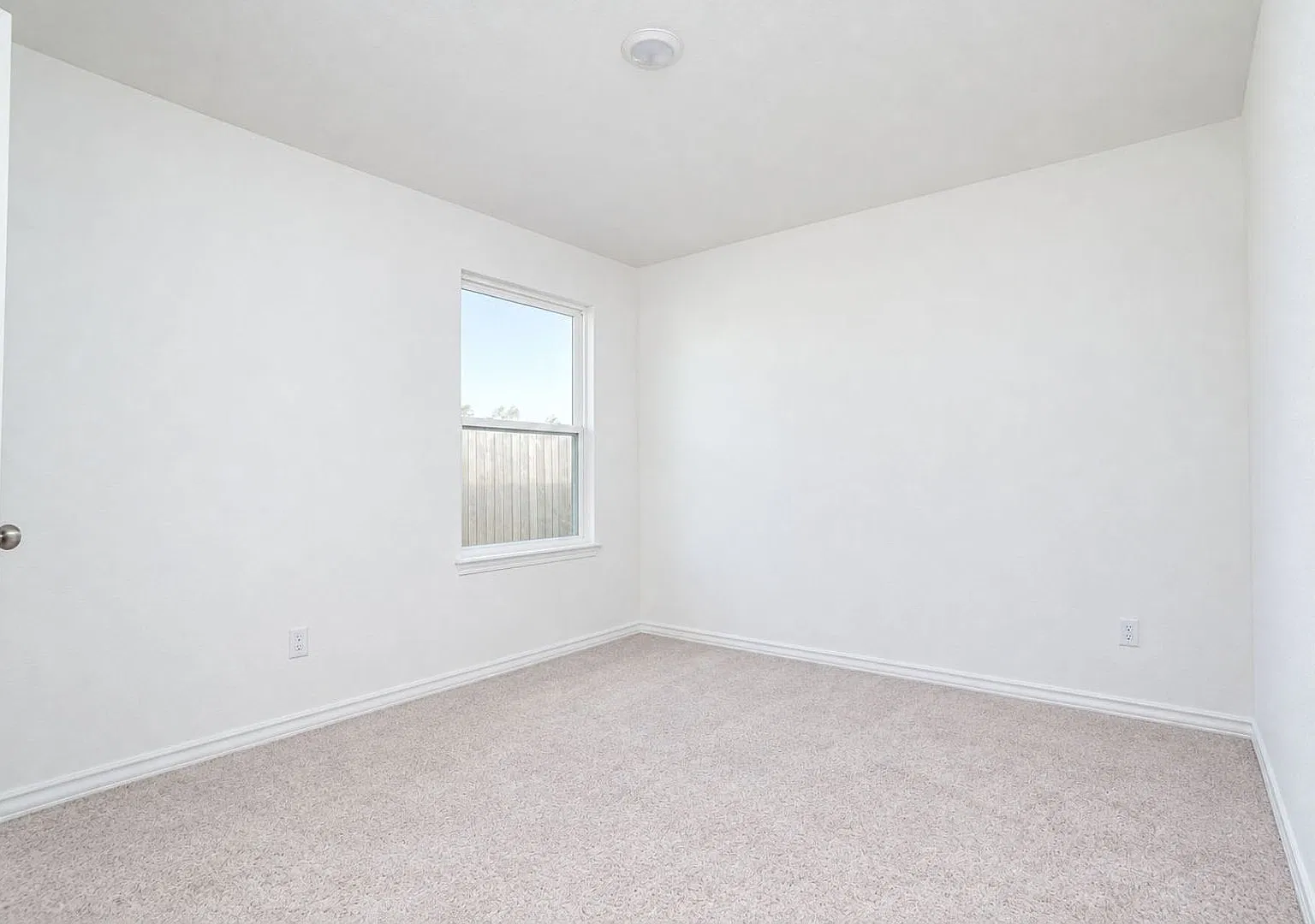 Nearly New — Photo 3