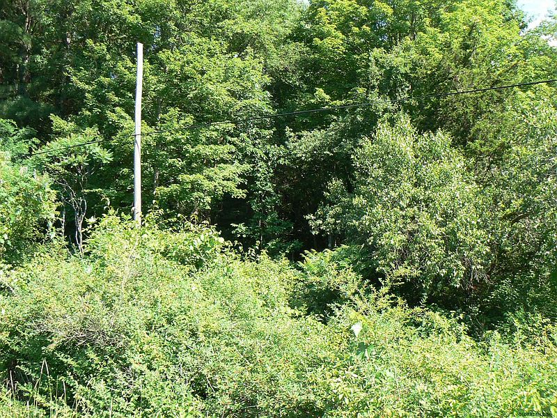 2nd image of 0 STACO Road