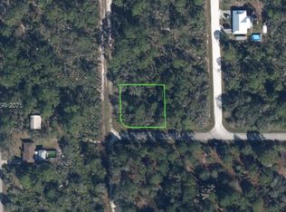 132 Audrey Ave NW, Lake Placid, FL 33852