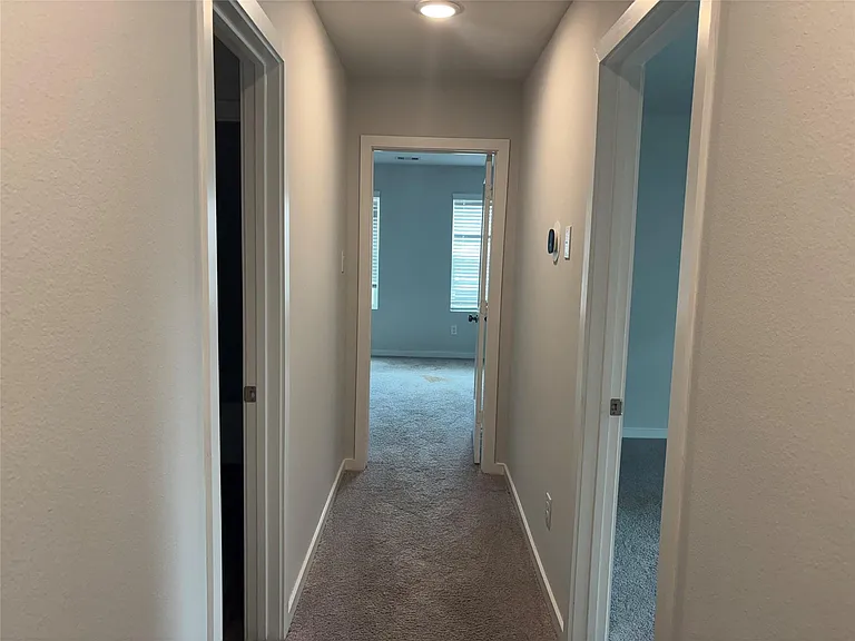 5735 Blue Grama Dr — Photo 22