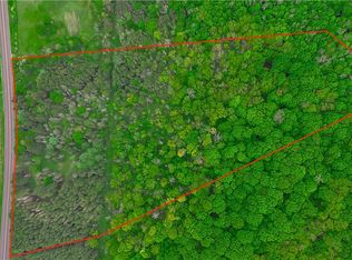 Maples Rd #15, Little Valley, NY 14755