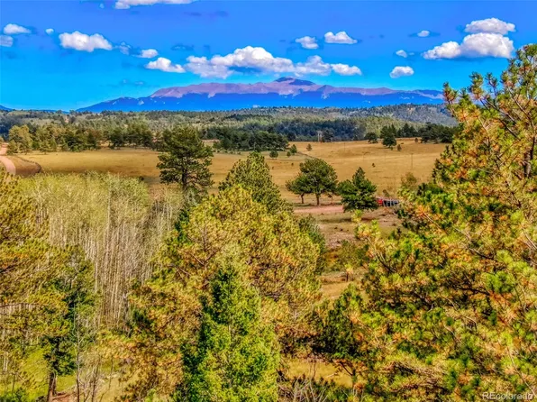 2489 Homestake Pl, Florissant, CO 80816