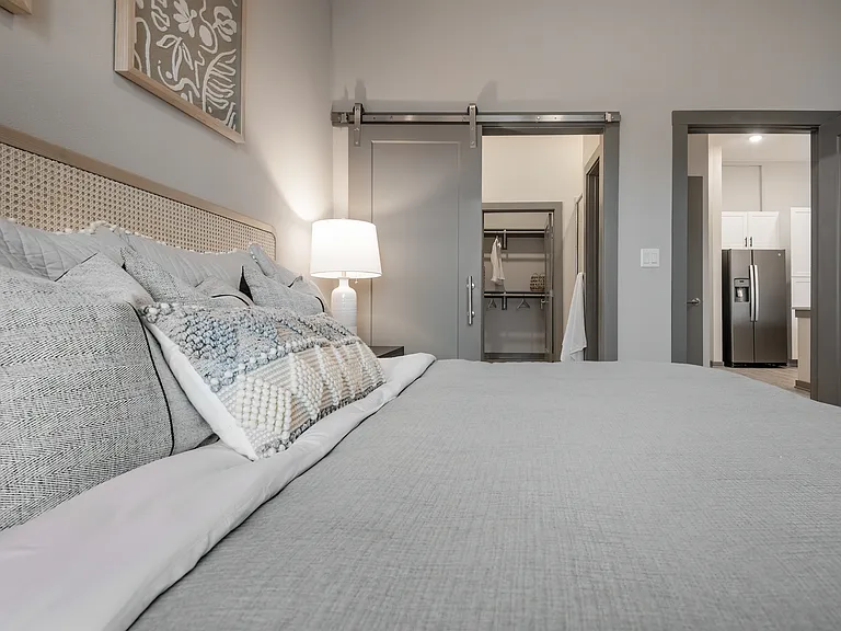 Large And Luxurious Bedroom