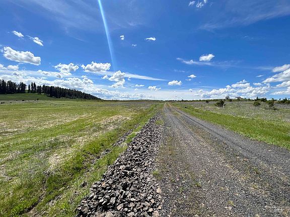 4th image of Mule Deer Dr