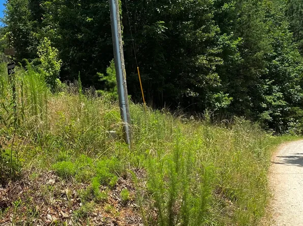 TRACT Wauka Ridge Rd Lot 30, Clermont, GA 30527