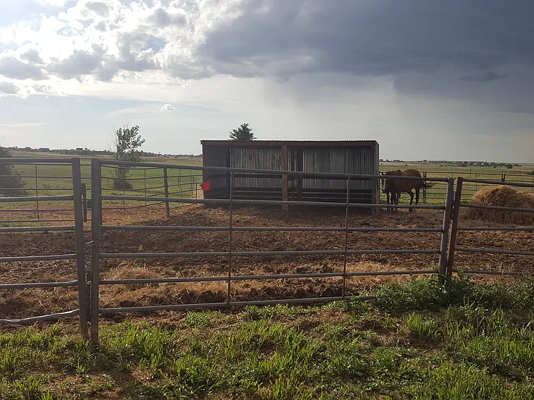 50513 E County Road 18 — Photo 5