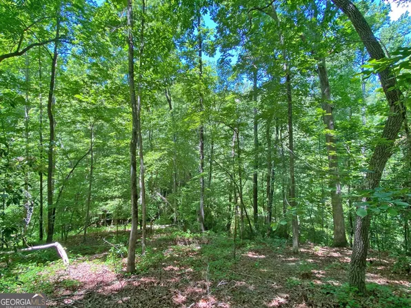 0 Hickory Nut Trl, Dahlonega, GA 30533