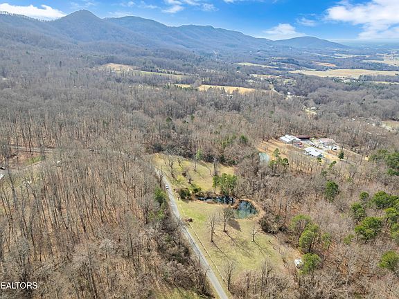 4th image of Collier Loop