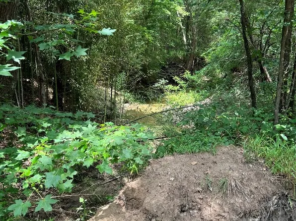 0 County Road 4131, Mount Vernon, TX 75457