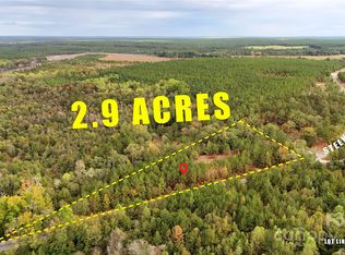 0 Steen Rd, Mount Croghan, SC 29727