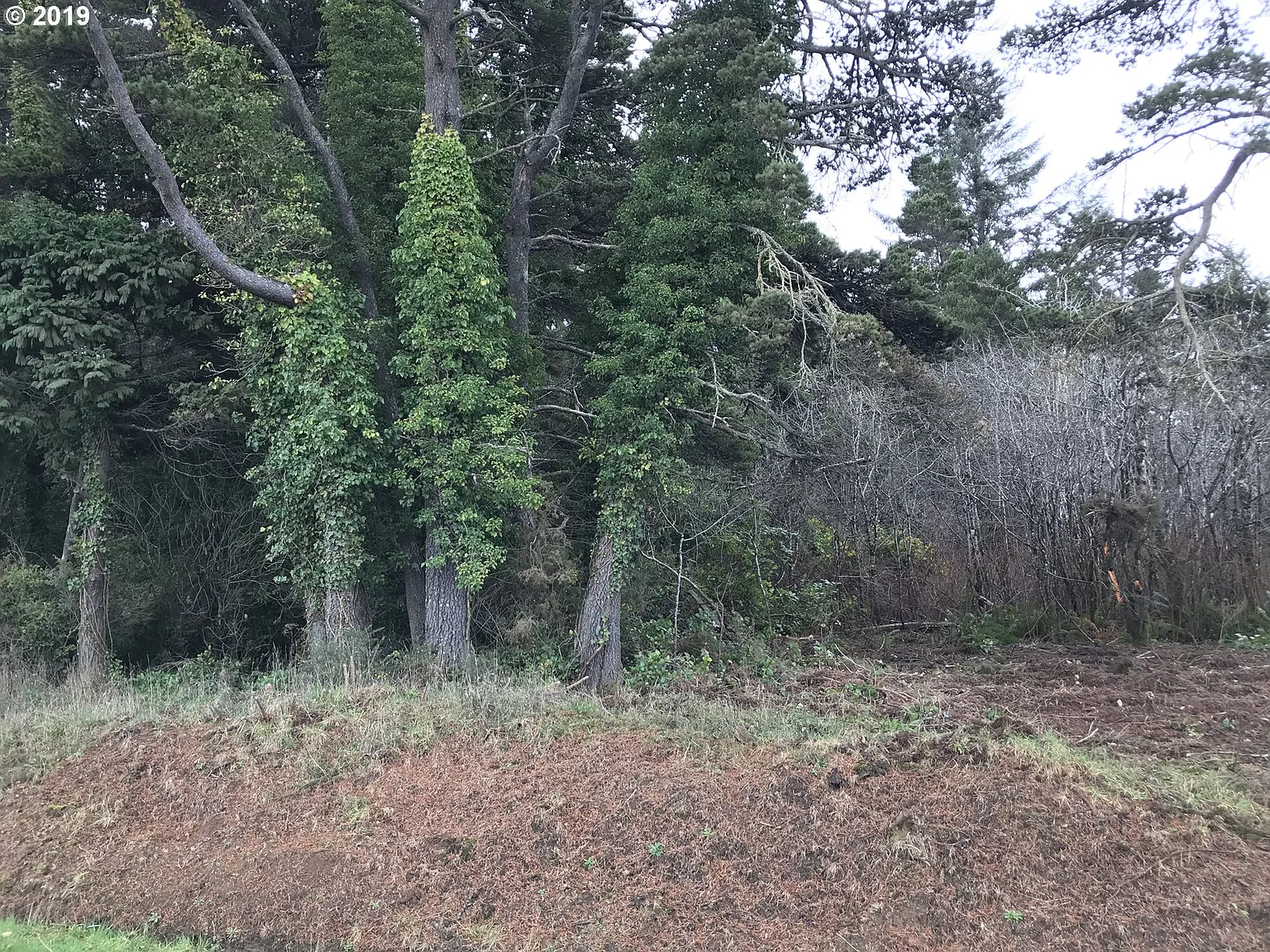 0 Astor Ln photo 1