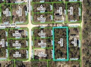 11084 Maybird Ave, Weeki Wachee, FL 34613
