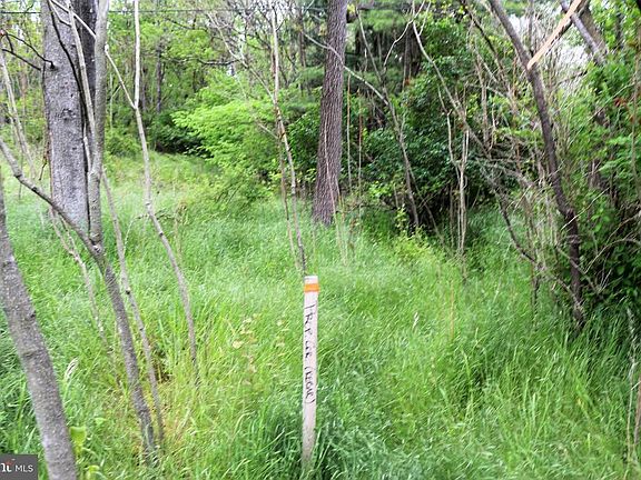 3rd image of 12249 Wild Rose Ln #1225