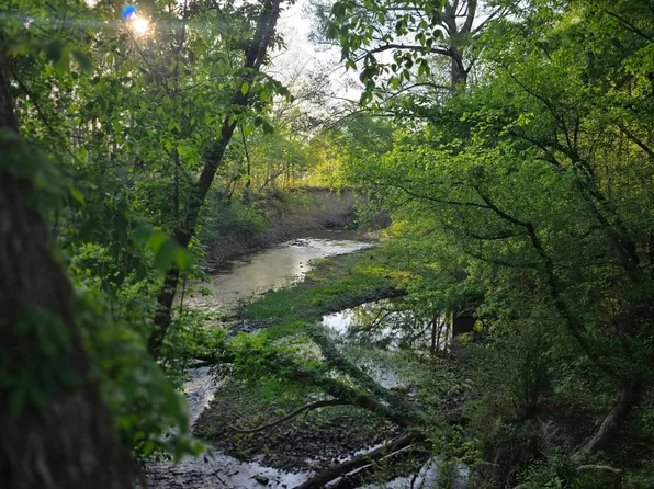 Sunshine Ln, Pangburn, AR 72121