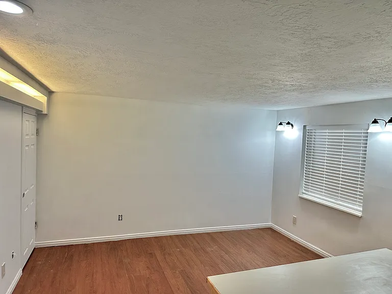 841 E Apple Park Way #BASEMENT — Photo 5