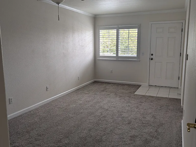 1501 La Esplanada Pl #323 — Photo 2
