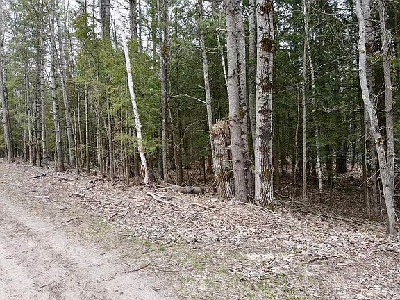 3rd image of Par 4 Needles Rd