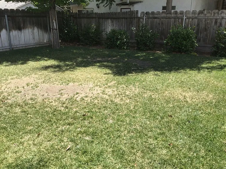 1267 N Cedar St — Photo 12