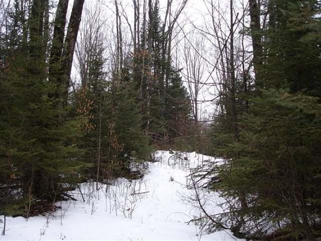 1st image of N6990 White Birch Ln