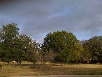 1st image of 920 Villa Como Dr