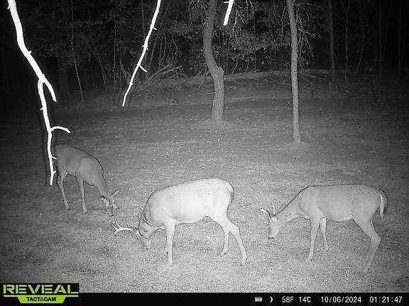 5th image of W8698 Lupine Ln
