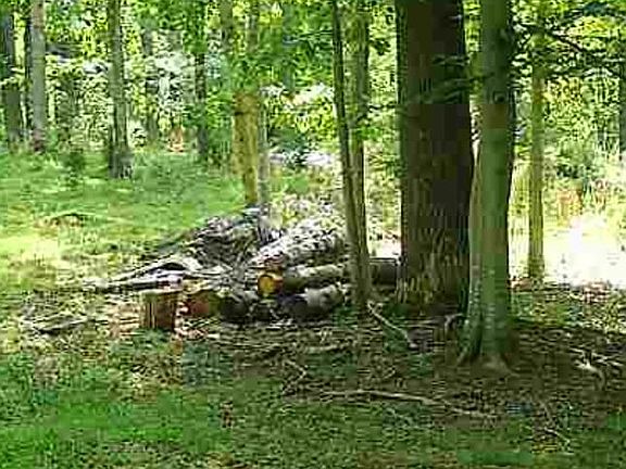 5th image of 0 Plank Rd