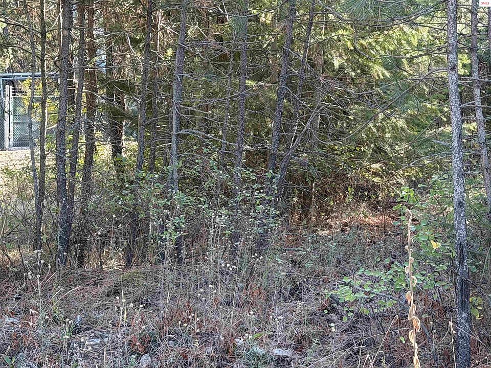 1st image of Nna Gray Eagle