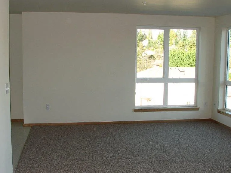 Large Living Room Windows