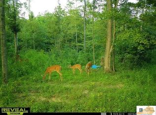 710 Robinson Ridge Rd, Knifley, KY 42753