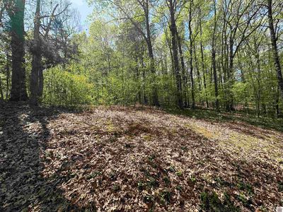 625 Country Hills Dr, Eddyville, KY, 42038