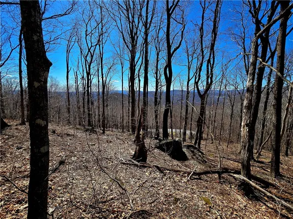 Lot 78 Elk Creek Mountain Parkway, Todd, NC 28684
