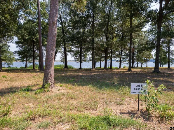 5 Eagles Nest Cir, Mount Vernon, TX 75457