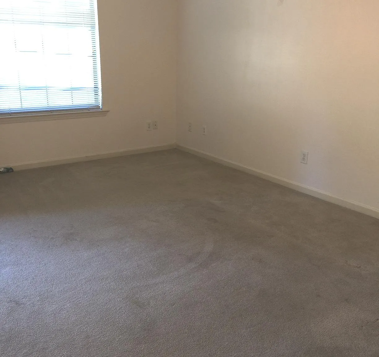 2 bed, 1.5 bath, 1000 sqft, $1,295 — Photo 2