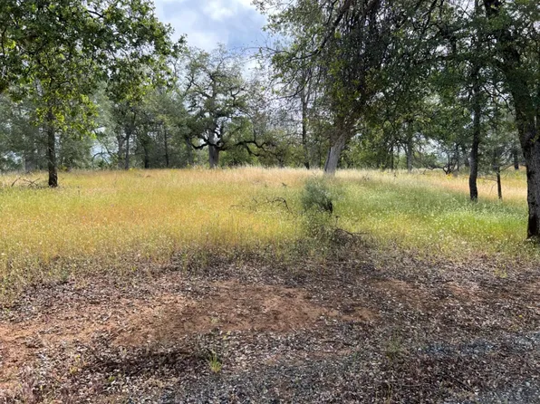 8439 Oak Ridge Rd, Mountain Ranch, CA 95246