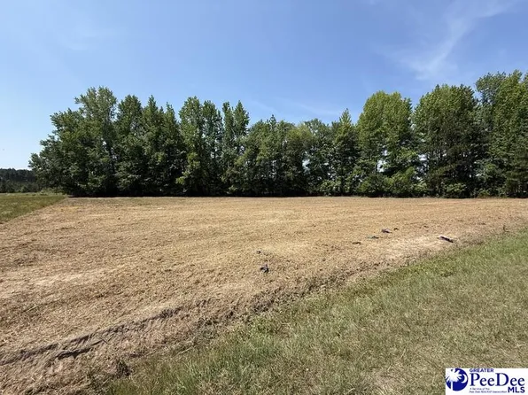 LOT Lenson Mangum Rd #B, Pageland, SC 29728