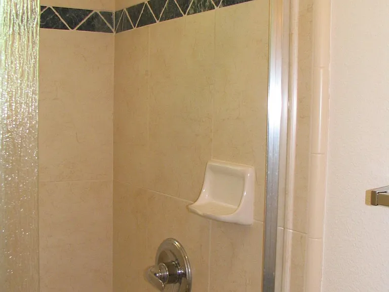 Master Shower