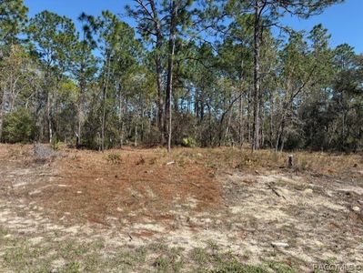 8865 N Lansen Way, Citrus Springs, FL, 34433