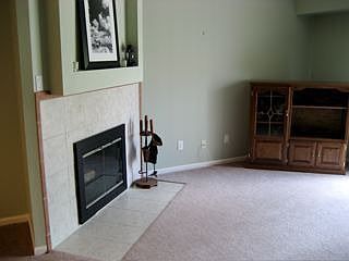 Fireplace/Living Room