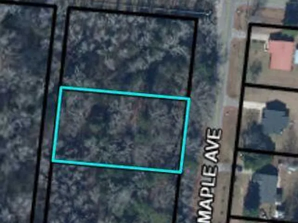 1 S Maple Ave, Denmark, SC 29042