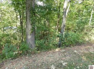 988-989 Bluebell Cir, New Concord, KY 42076
