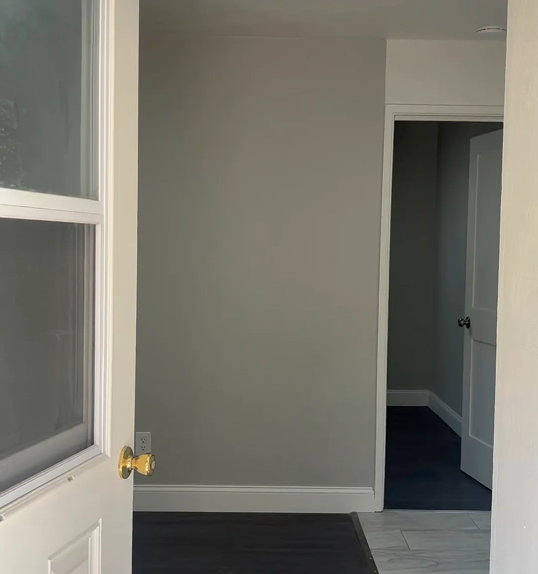 1 bed, 500 sqft, $1,199 — Photo 3