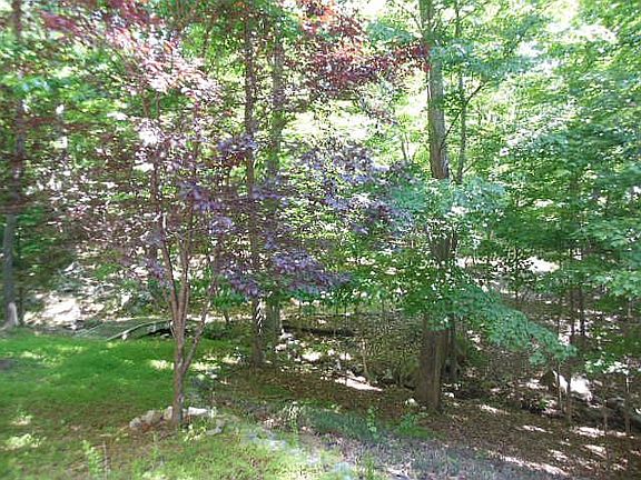 2nd image of 548 Chinquapin Dr