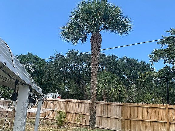 3rd image of 660 Eastwind Dr