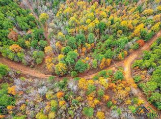 N Highway 259, Lone Star, TX 75668