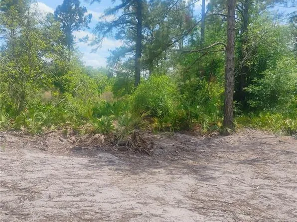 Park Forest Blvd Lot 227, Mount Dora, FL 32757
