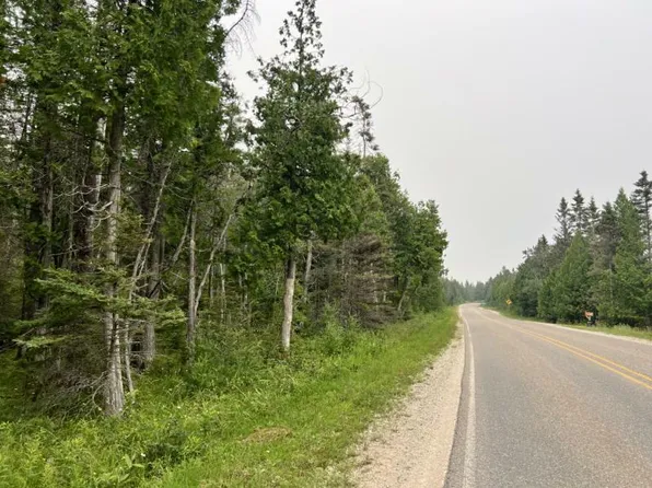 E Johnswood Rd, Drummond Island, MI 49726