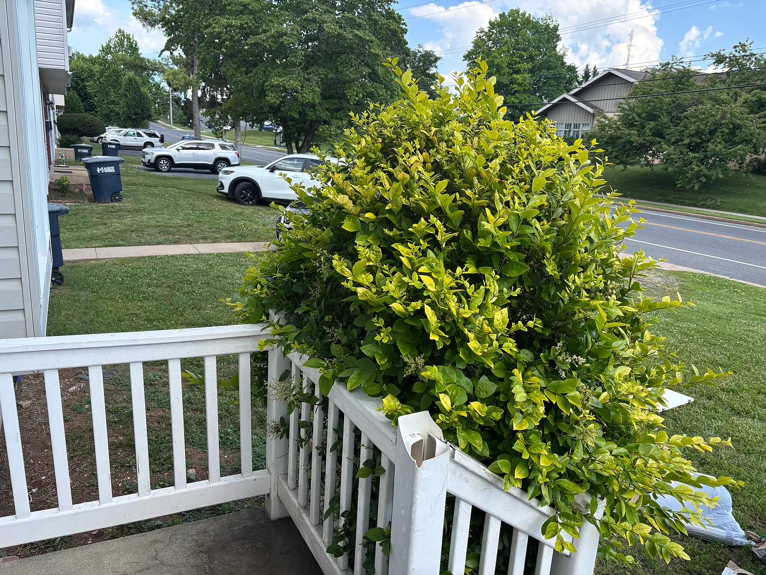 3 bed, 2.5 bath, 882 sqft, $2,200 — Photo 3